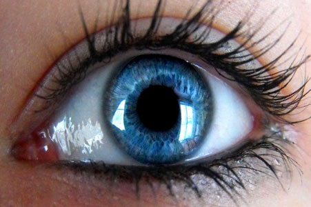 Голубые глаза: происхождение и генетика голубых глаз