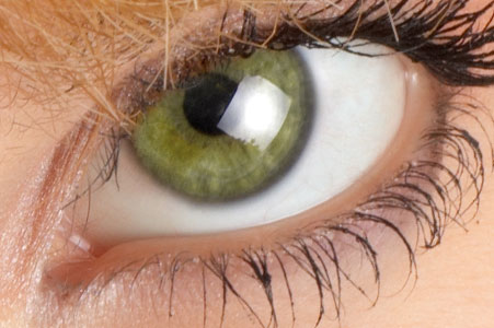 Болотные глаза: что обуславливает болотный цвет глаз?